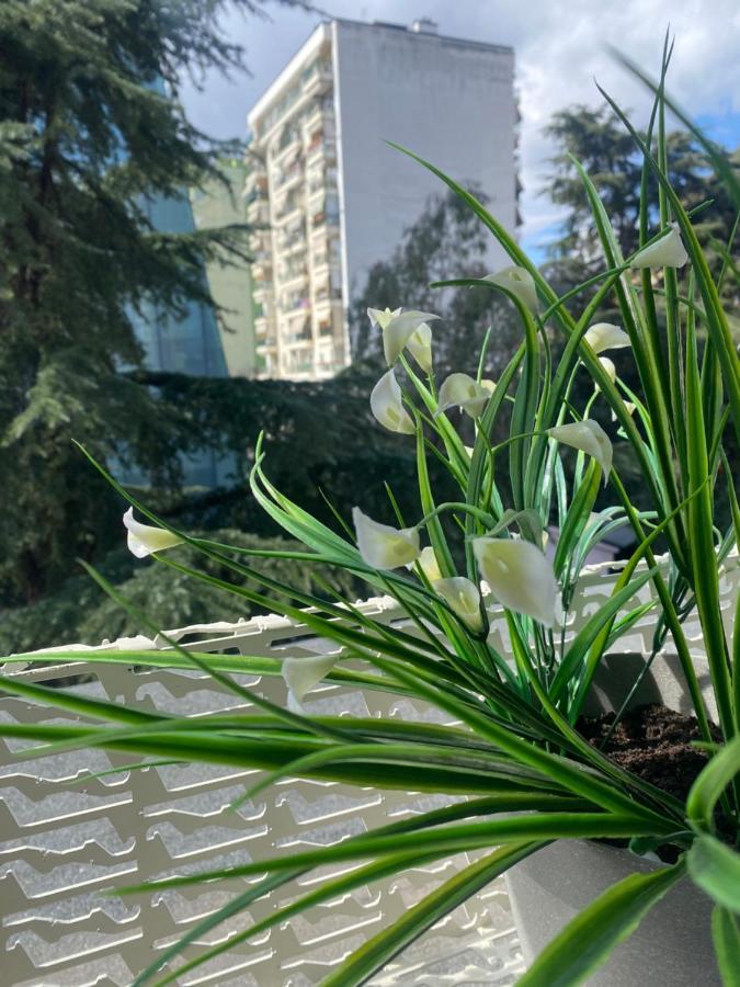 Jonexh Apartments Tirana Kültér fotó